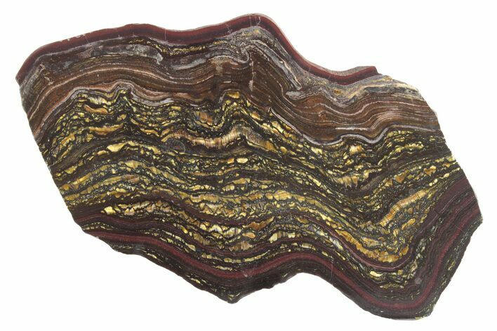 Polished Tiger Iron Stromatolite Slab - Billion Years #222946